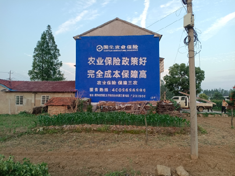  陇县墙体广告为何受追捧？